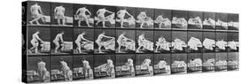 Album sur la décomposition du mouvement:Animal Locomotion: femme nue se couchant-Eadweard Muybridge-Stretched Canvas