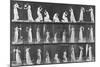 Album sur la décomposition du mouvement:Animal Locomotion: femme versant de l'eau-Eadweard Muybridge-Mounted Giclee Print