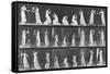 Album sur la décomposition du mouvement:Animal Locomotion: femme versant de l'eau-Eadweard Muybridge-Framed Stretched Canvas