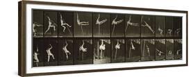 Album sur la décompostion du mouvement : "Animal locomotion", 1872/85-Eadweard Muybridge-Framed Premium Giclee Print