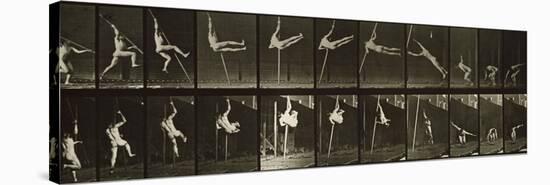 Album sur la décompostion du mouvement : "Animal locomotion", 1872/85-Eadweard Muybridge-Stretched Canvas