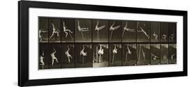 Album sur la décompostion du mouvement : "Animal locomotion", 1872/85-Eadweard Muybridge-Framed Giclee Print