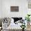 Album sur la décompostion du mouvement : "Animal locomotion  :Saut d'obstacle, cheval blanc-Eadweard Muybridge-Stretched Canvas displayed on a wall
