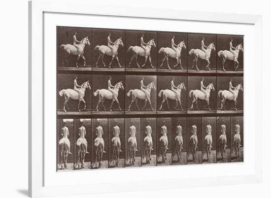 Album sur la décompostion du mouvement : "Animal locomotion  :Saut d'obstacle, cheval blanc-Eadweard Muybridge-Framed Giclee Print