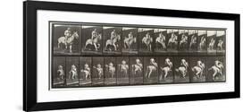Album sur la décompostion du mouvement : "Animal locomotion  : saut d'ostacle, vu de face et de dos-Eadweard Muybridge-Framed Giclee Print