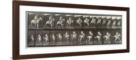 Album sur la décompostion du mouvement : "Animal locomotion  : saut d'ostacle, vu de face et de dos-Eadweard Muybridge-Framed Premium Giclee Print