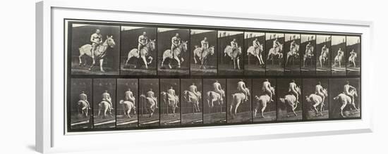 Album sur la décompostion du mouvement : "Animal locomotion  : saut d'ostacle, vu de face et de dos-Eadweard Muybridge-Framed Premium Giclee Print