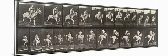 Album sur la décompostion du mouvement : "Animal locomotion  : saut d'ostacle, vu de face et de dos-Eadweard Muybridge-Mounted Premium Giclee Print