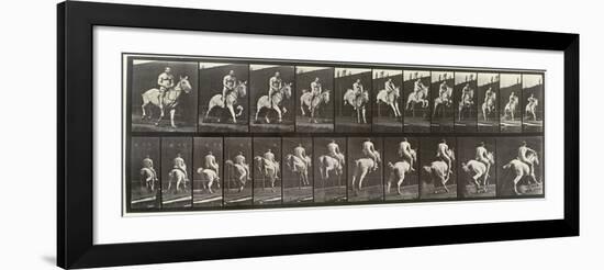 Album sur la décompostion du mouvement : "Animal locomotion  : saut d'ostacle, vu de face et de dos-Eadweard Muybridge-Framed Giclee Print