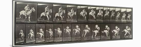 Album sur la décompostion du mouvement : "Animal locomotion  : saut d'ostacle, vu de face et de dos-Eadweard Muybridge-Mounted Giclee Print