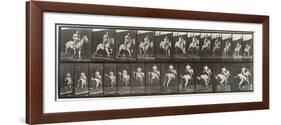 Album sur la décompostion du mouvement : "Animal locomotion  : saut d'ostacle, vu de face et de dos-Eadweard Muybridge-Framed Giclee Print