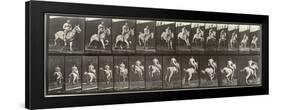 Album sur la décompostion du mouvement : "Animal locomotion  : saut d'ostacle, vu de face et de dos-Eadweard Muybridge-Framed Giclee Print