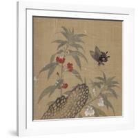 Album-Shian Xu-Framed Giclee Print