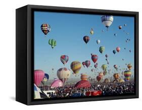 Albuquerque Balloon Fiesta, Albuquerque, New Mexico, USA-Steve Vidler-Framed Stretched Canvas