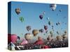 Albuquerque Balloon Fiesta, Albuquerque, New Mexico, USA-Steve Vidler-Stretched Canvas