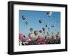 Albuquerque Balloon Fiesta, Albuquerque, New Mexico, USA-Steve Vidler-Framed Photographic Print