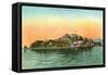 Alcatraz Island, San Francisco, California-null-Framed Stretched Canvas