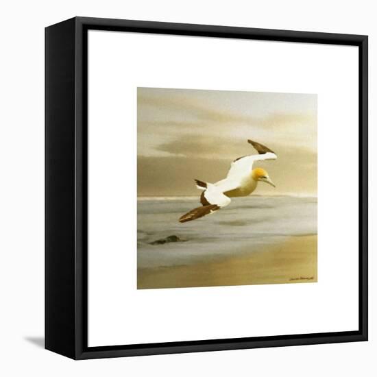 Alcatraz-Carlos Casamayor-Framed Stretched Canvas