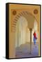 Alcazaba Palace, Malaga, Andalusia, Spain, Europe-Richard Cummins-Framed Stretched Canvas