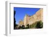 Alcazaba Palace, Malaga, Andalusia, Spain, Europe-Richard Cummins-Framed Photographic Print