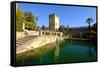 Alcazar De Los Reyes Cristianos, Cordoba, Andalucia, Spain-Carlo Morucchio-Framed Stretched Canvas