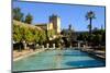 Alcazar De Los Reyes Cristianos, Cordoba, Andalucia, Spain-Carlo Morucchio-Mounted Photographic Print