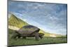 Alcedo giant tortoise walking, Isabela Island, Galapagos-Tui De Roy-Mounted Photographic Print