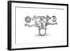 Alchemical Symbol Representing the Transmutation of Base Metal into Silver and Gold, 1652-null-Framed Giclee Print