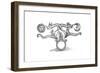 Alchemical Symbol Representing the Transmutation of Base Metal into Silver and Gold, 1652-null-Framed Giclee Print