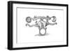 Alchemical Symbol Representing the Transmutation of Base Metal into Silver and Gold, 1652-null-Framed Giclee Print