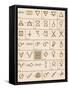 Alchemical symbols-Science Source-Framed Stretched Canvas