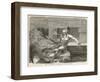 Alcibiades Assassinated-Hermann Vogel-Framed Art Print