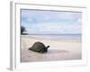 Aldabra Tortoise on Beach, Picard Island, Aldabra, Seychelles-Pete Oxford-Framed Photographic Print