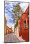 Aldama Street Christmas Decorations, San Miguel de Allende, Mexico.-William Perry-Mounted Photographic Print