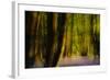 Alder (Alnus Glutinosa) Wood With Bluebells (Hyacinthoides Non-Scripta) Multiple Exposure. Argyll-Fergus Gill-Framed Photographic Print