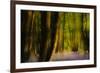 Alder (Alnus Glutinosa) Wood With Bluebells (Hyacinthoides Non-Scripta) Multiple Exposure. Argyll-Fergus Gill-Framed Photographic Print