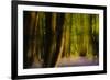 Alder (Alnus Glutinosa) Wood With Bluebells (Hyacinthoides Non-Scripta) Multiple Exposure. Argyll-Fergus Gill-Framed Photographic Print