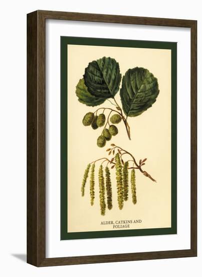 Alder, Catkins and Foliage-W.h.j. Boot-Framed Art Print