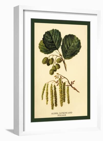 Alder, Catkins and Foliage-W.h.j. Boot-Framed Art Print