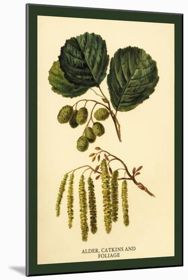 Alder, Catkins and Foliage-W.h.j. Boot-Mounted Art Print