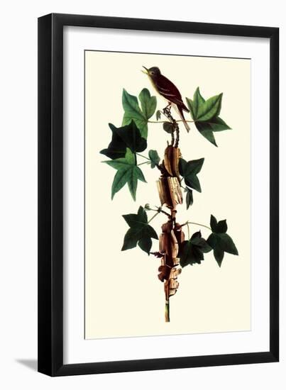 Alder Flycatcher-John James Audubon-Framed Giclee Print