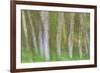 Alder Forest I-Kathy Mahan-Framed Photographic Print