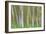 Alder Forest I-Kathy Mahan-Framed Photographic Print