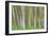 Alder Forest I-Kathy Mahan-Framed Photographic Print