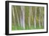 Alder Forest I-Kathy Mahan-Framed Photographic Print