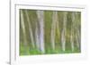 Alder Forest I-Kathy Mahan-Framed Photographic Print