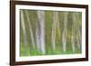 Alder Forest I-Kathy Mahan-Framed Photographic Print