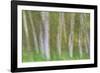 Alder Forest I-Kathy Mahan-Framed Photographic Print