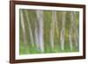 Alder Forest I-Kathy Mahan-Framed Photographic Print