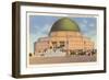 Alder Planetarium, Chicago, Illinois-null-Framed Art Print